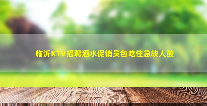 临沂KTV招聘酒水促销员包吃住急缺人酸